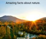 Amazing Facts About Nature.