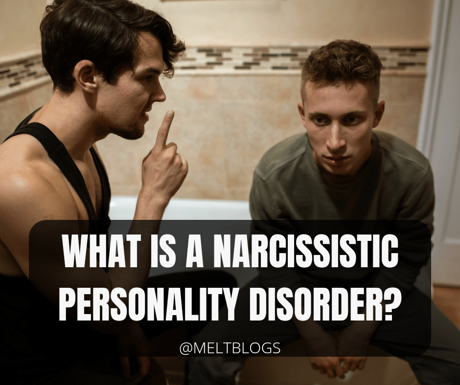 What Is A Narcissistic Personality Disorder? - MELTBLOGS