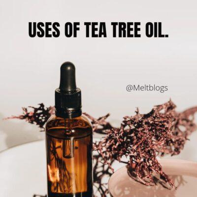 Uses of tea tree oil.