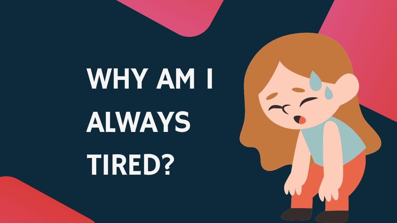 why-am-i-always-tired-meltblogs