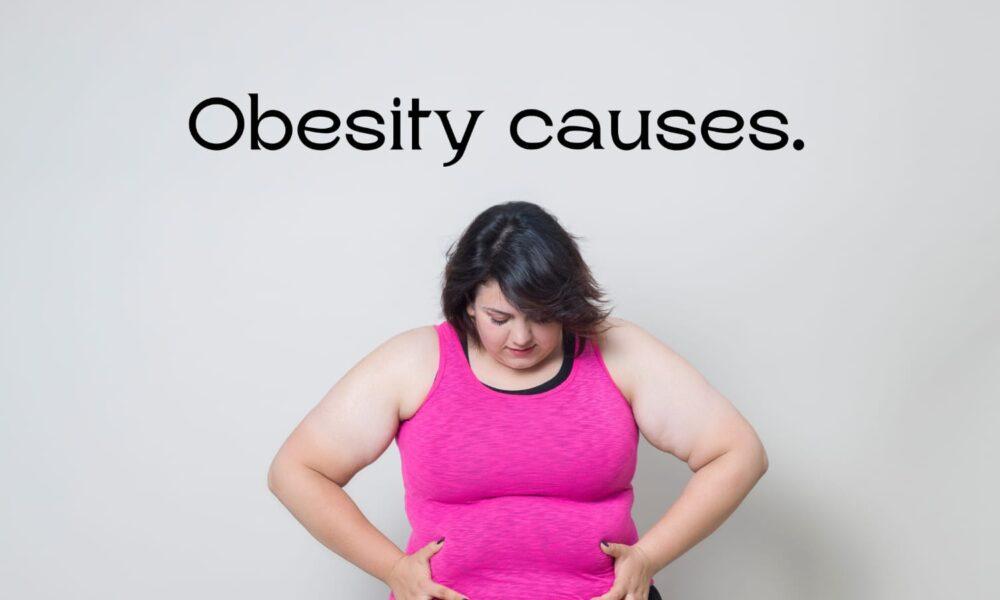 Obesity causes