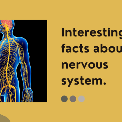 Interesting facts about the nervous system.