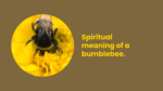 Spiritual meaning of a bumblebee.