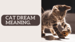 Cat dream meaning.