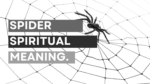 Spider spiritual meaning.