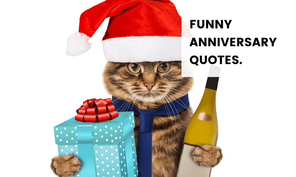 funny anniversary quotes