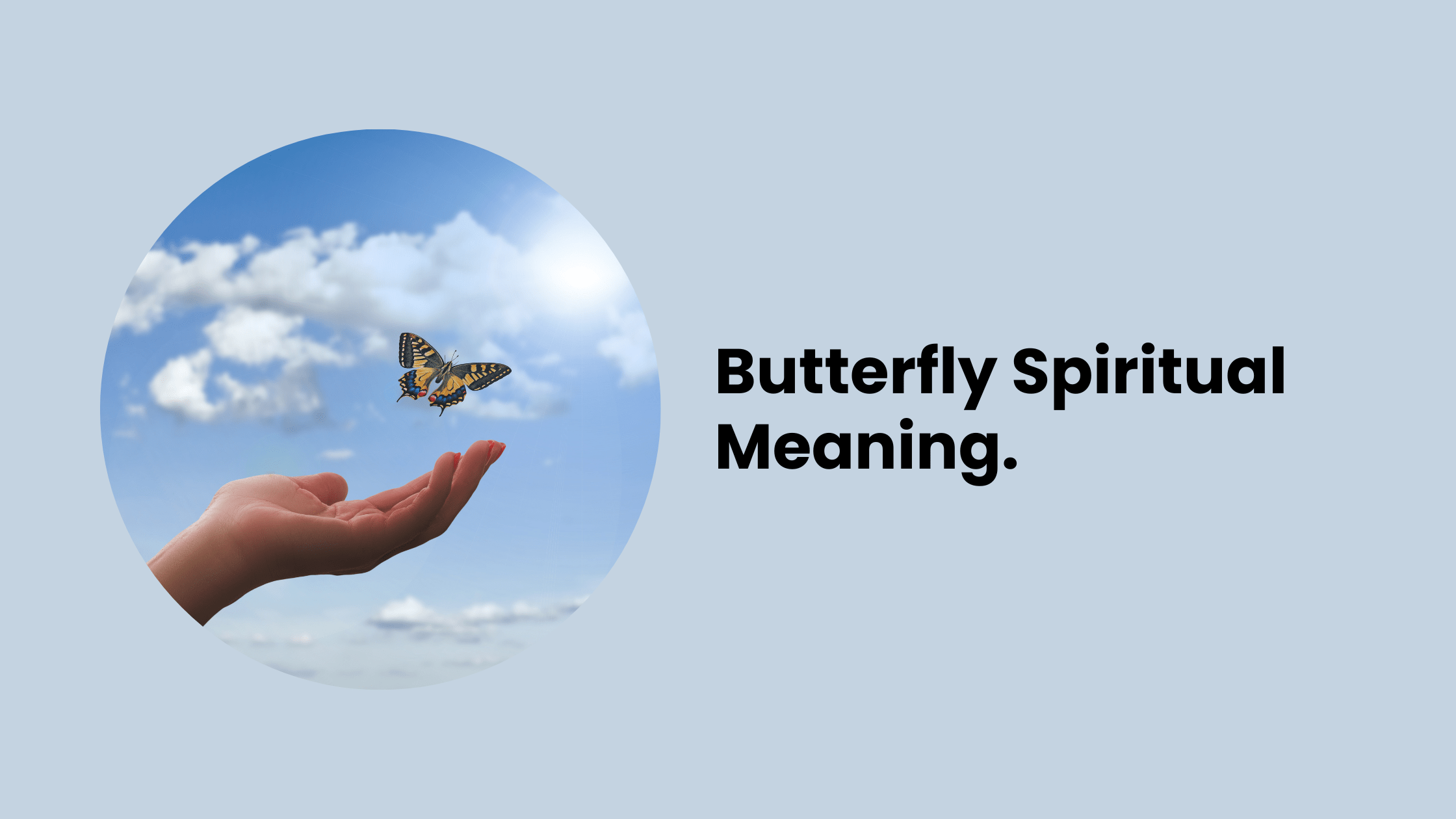 Butterfly Spiritual Meaning. - MELTBLOGS