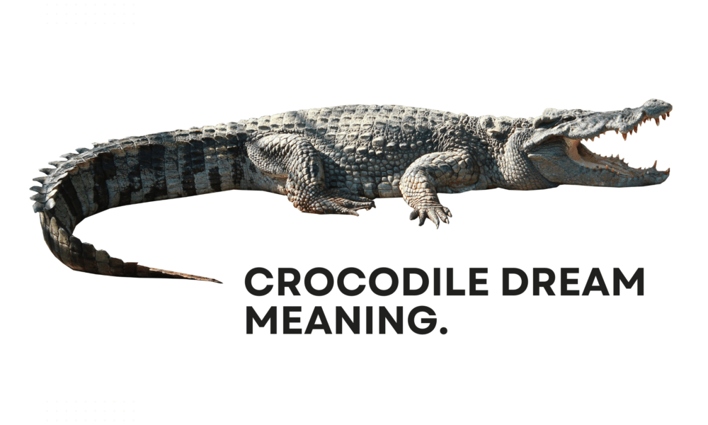 Crocodile Dream Meaning