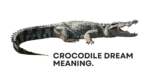 Crocodile Dream Meaning