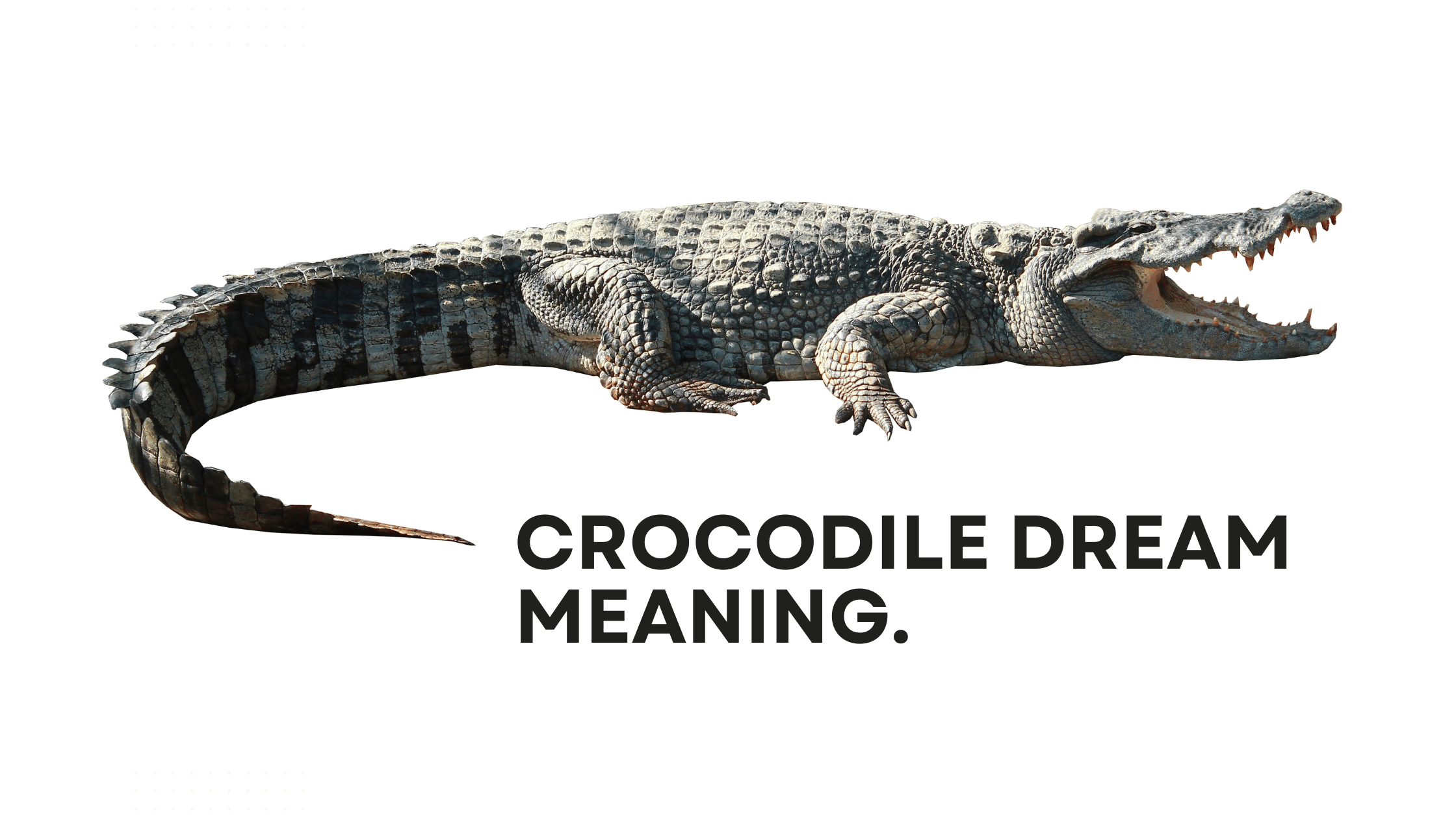 meaning of seeing baby crocodile in dream