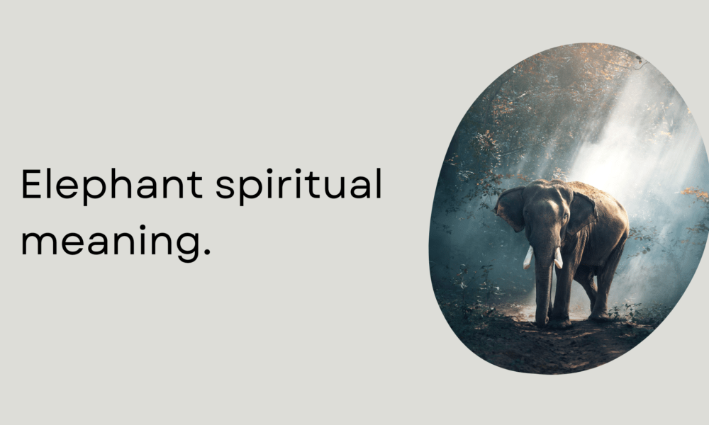 Elephant spiritual meaning