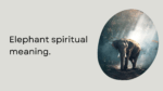 Elephant spiritual meaning