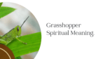 Grasshopper Spiritual Meaning.