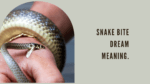 Snake bite dream meaning.