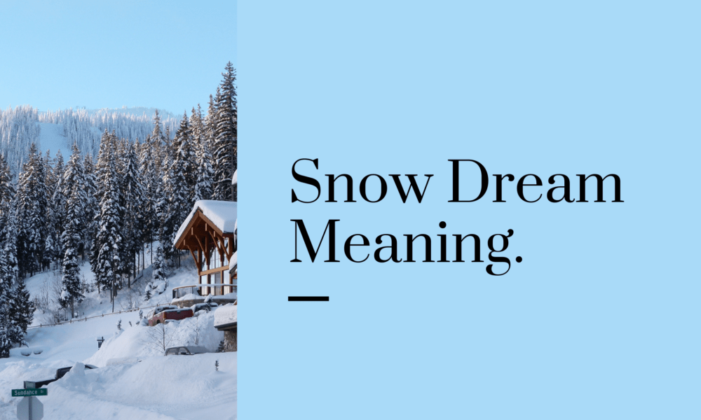 Snow Dream Meaning