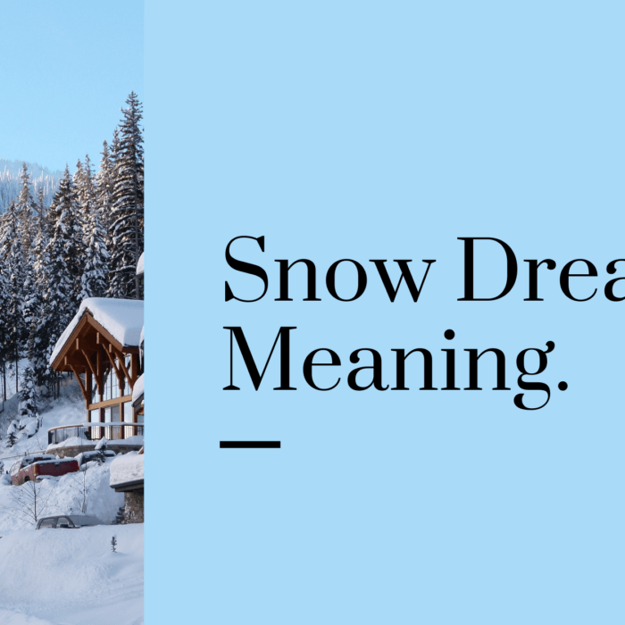 snow-dream-meaning-meltblogs