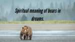 Spiritual meaning of bears in dreams.