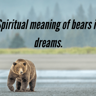 Spiritual meaning of bears in dreams.