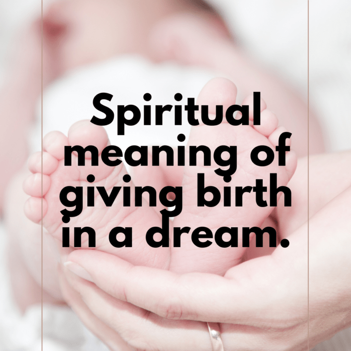 spiritual-meaning-of-giving-birth-in-a-dream-meltblogs