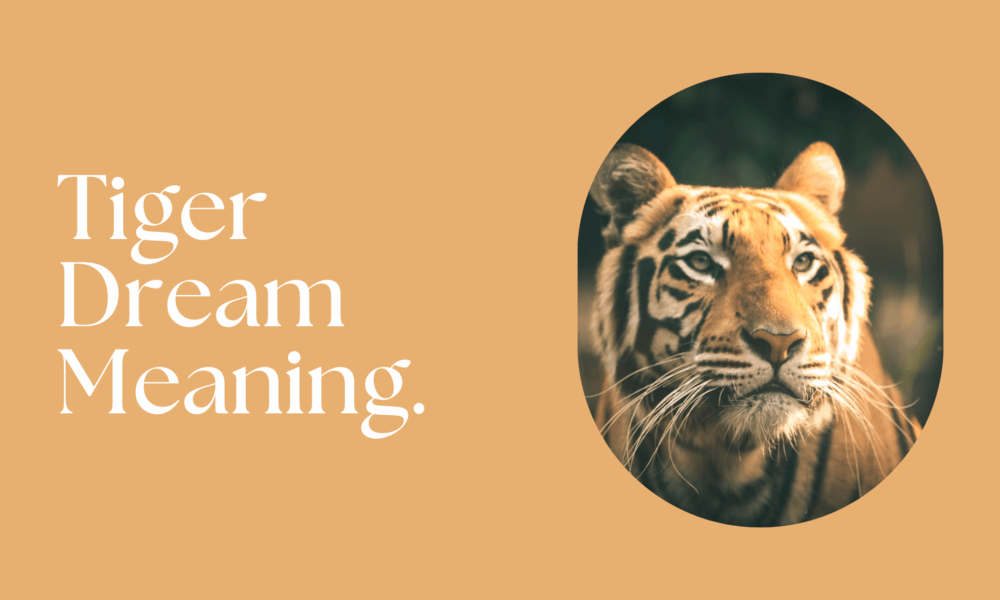 Tiger Dream Meaning.