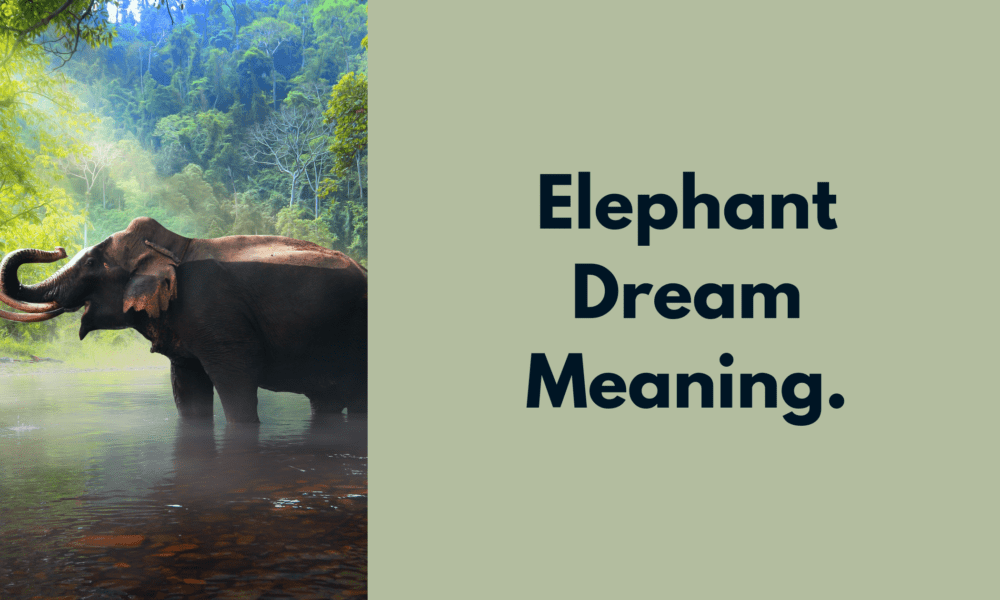 Elephant Dream Meaning