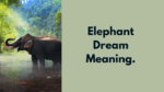 Elephant Dream Meaning