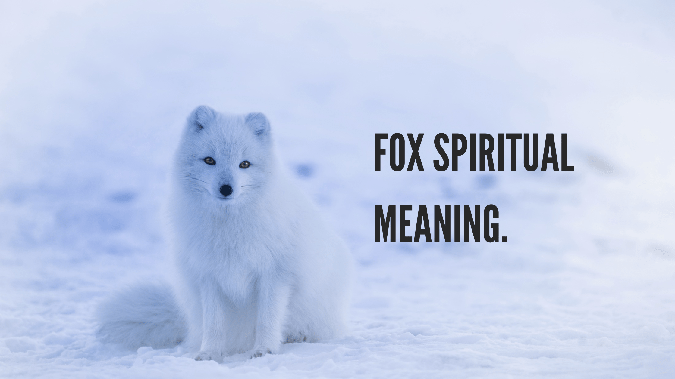 fox-spiritual-meaning-meltblogs