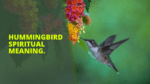 Hummingbird spiritual meaning