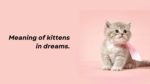 Meaning of kittens in dreams