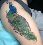 Peacock tattoo thigh