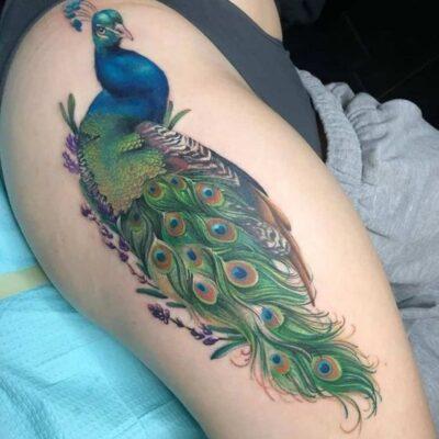 Peacock tattoo thigh