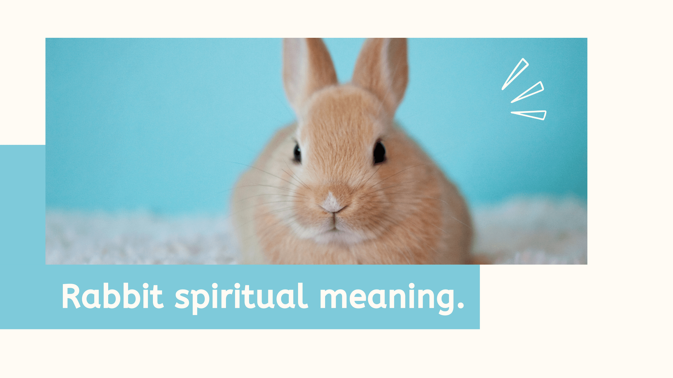 Rabbit spiritual meaning. MELTBLOGS
