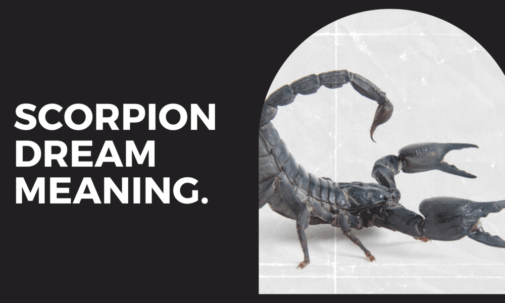 Scorpion dream meaning