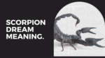 Scorpion dream meaning