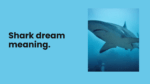 Shark dream meaning