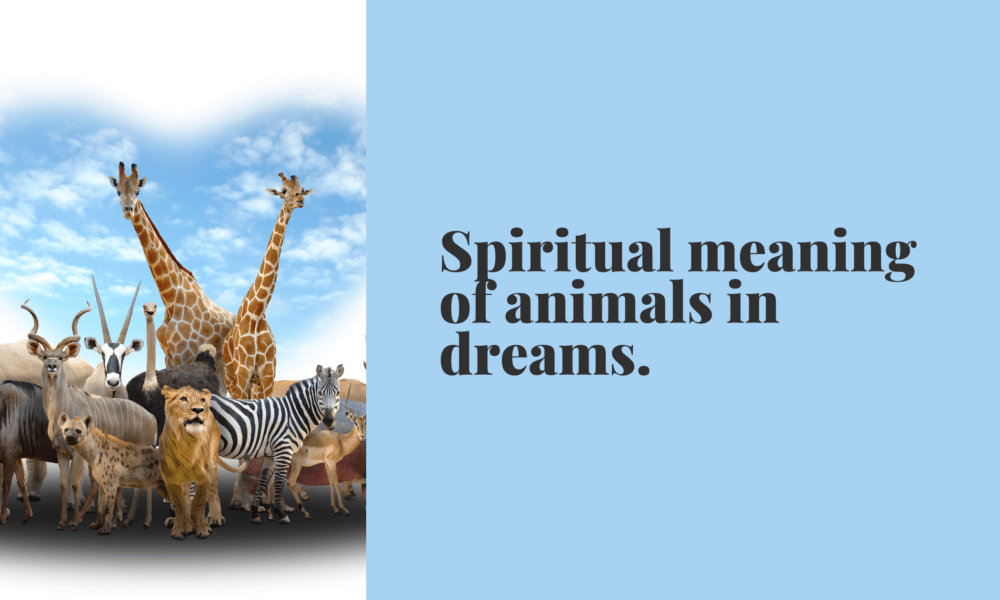 Spiritual meaning of animals in dreams
