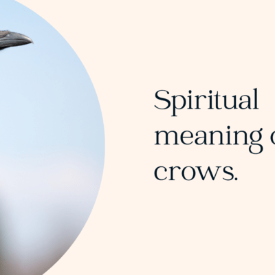 Spiritual meaning of crows