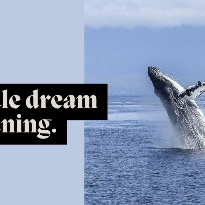 Whale dream meaning. MELTBLOGS