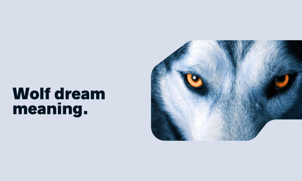 Wolf dream meaning