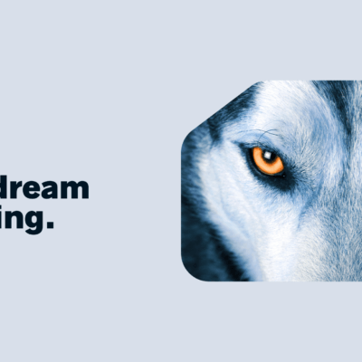 Wolf dream meaning