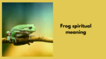 frog spiritual meaning