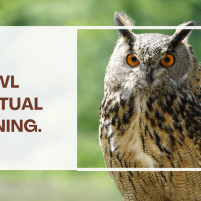 owl spiritual meaning