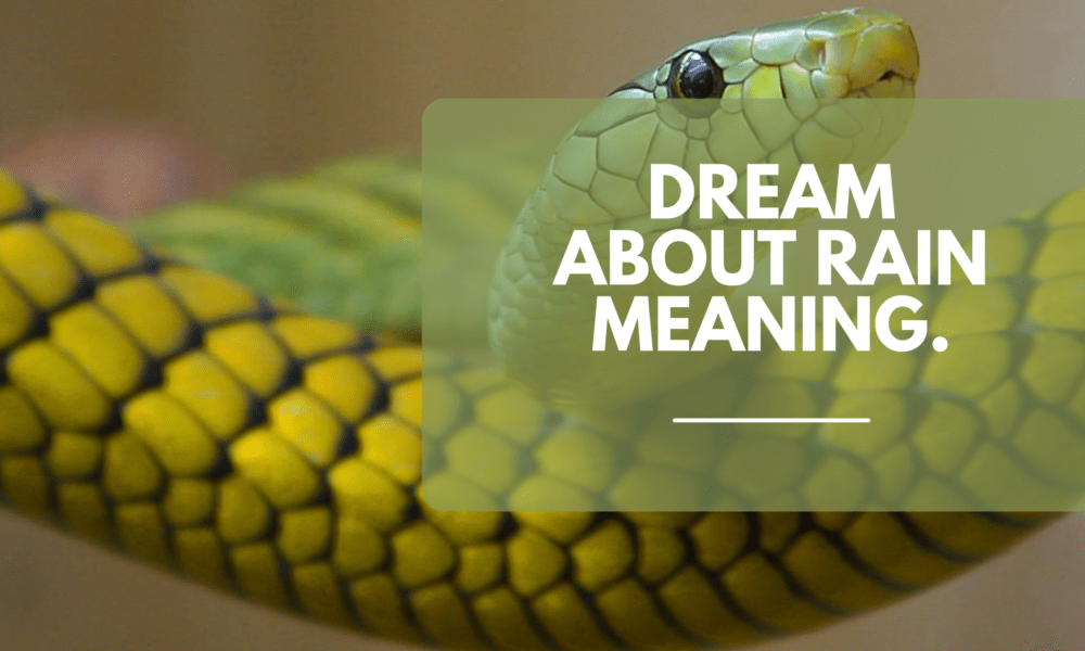 Spiritual meaning of a snake in a dream