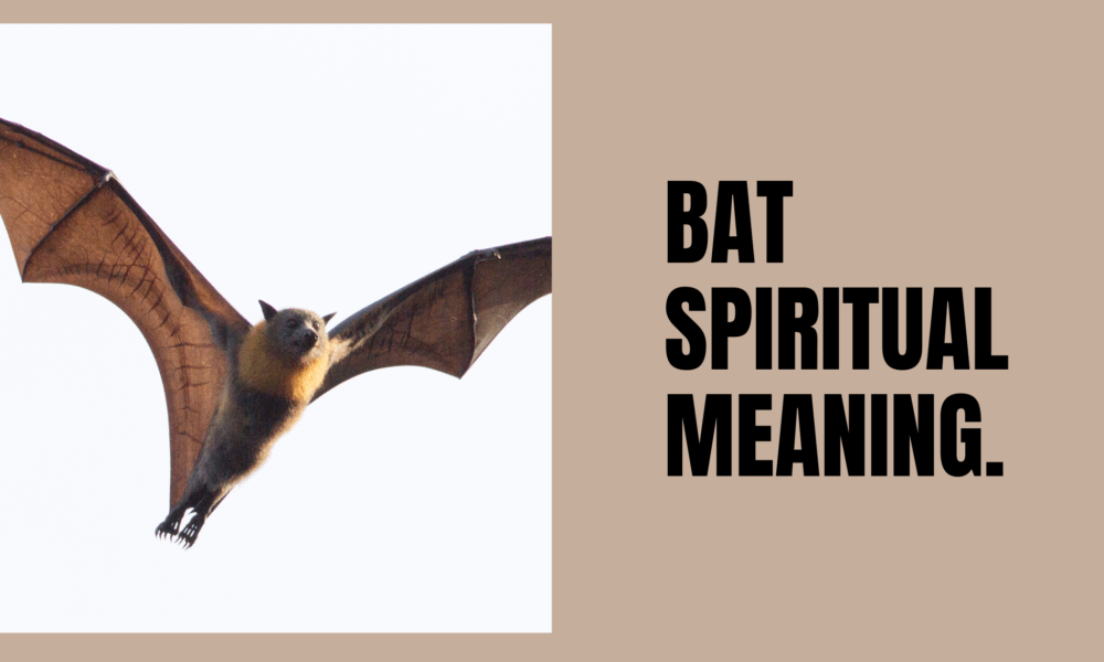 Bat spiritual meaning