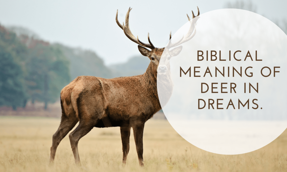 Biblical Meaning of Deer in Dreams