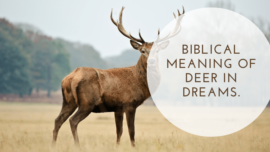 Biblical Meaning of Deer in Dreams. MELTBLOGS