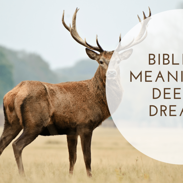 Biblical Meaning of Deer in Dreams. - MELTBLOGS