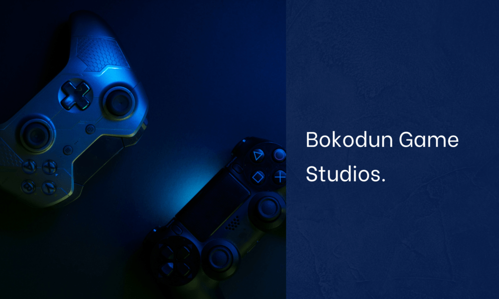 Bokodun Game Studios Company Info