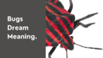 Bugs Dream Meaning
