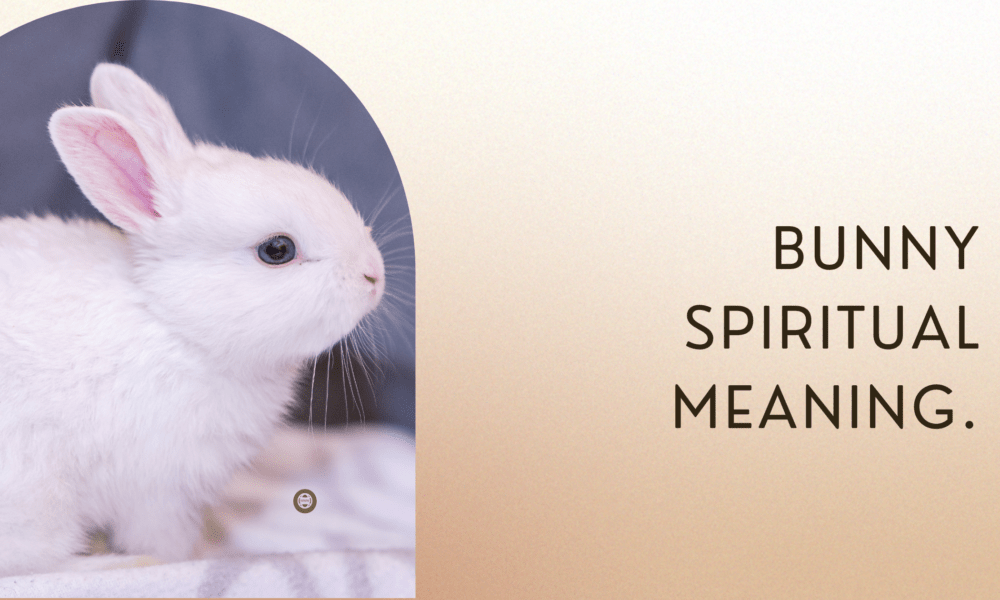Bunny Spiritual Meaning